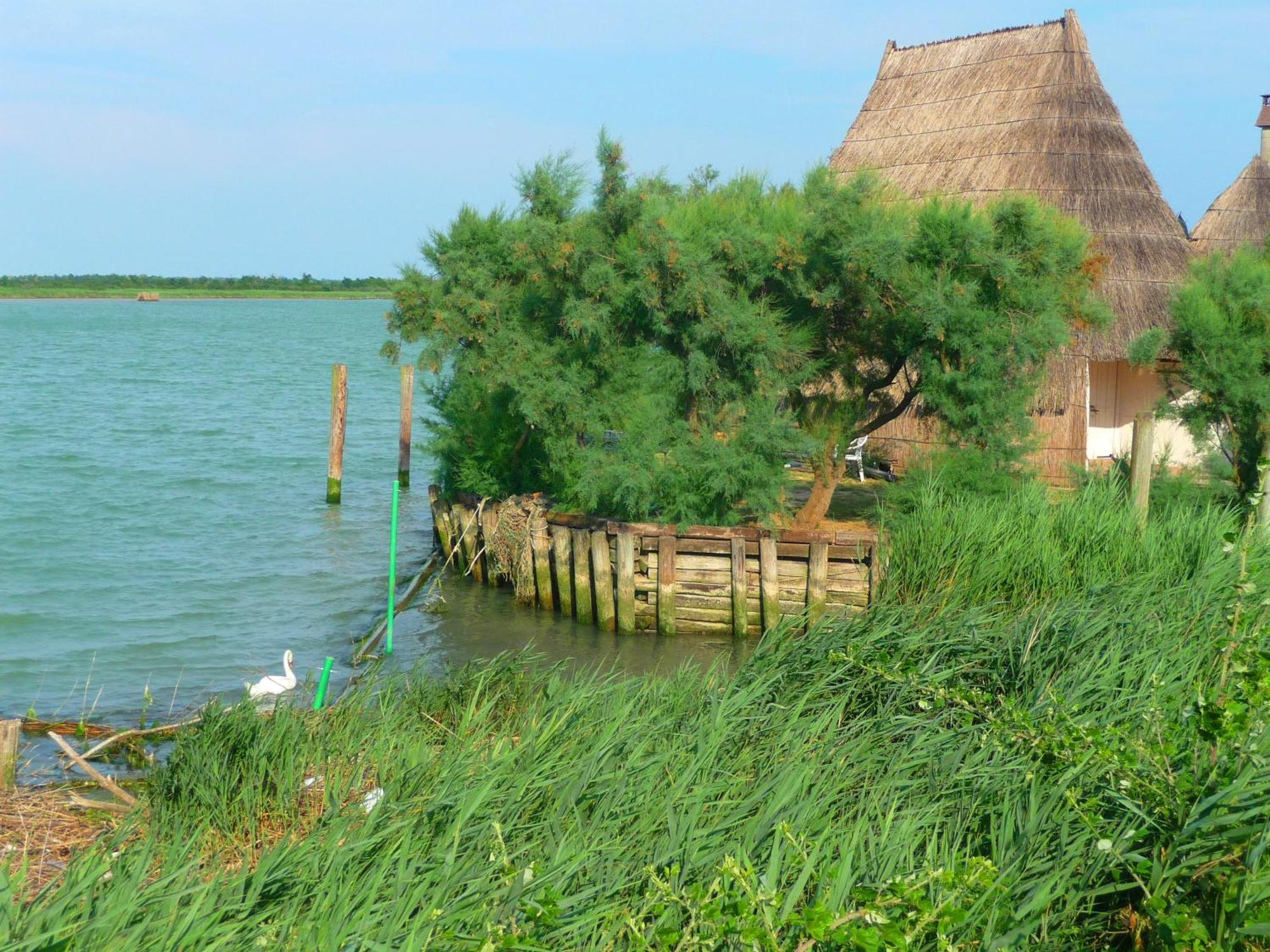 Residence Amarein Caorle Bagian luar foto
