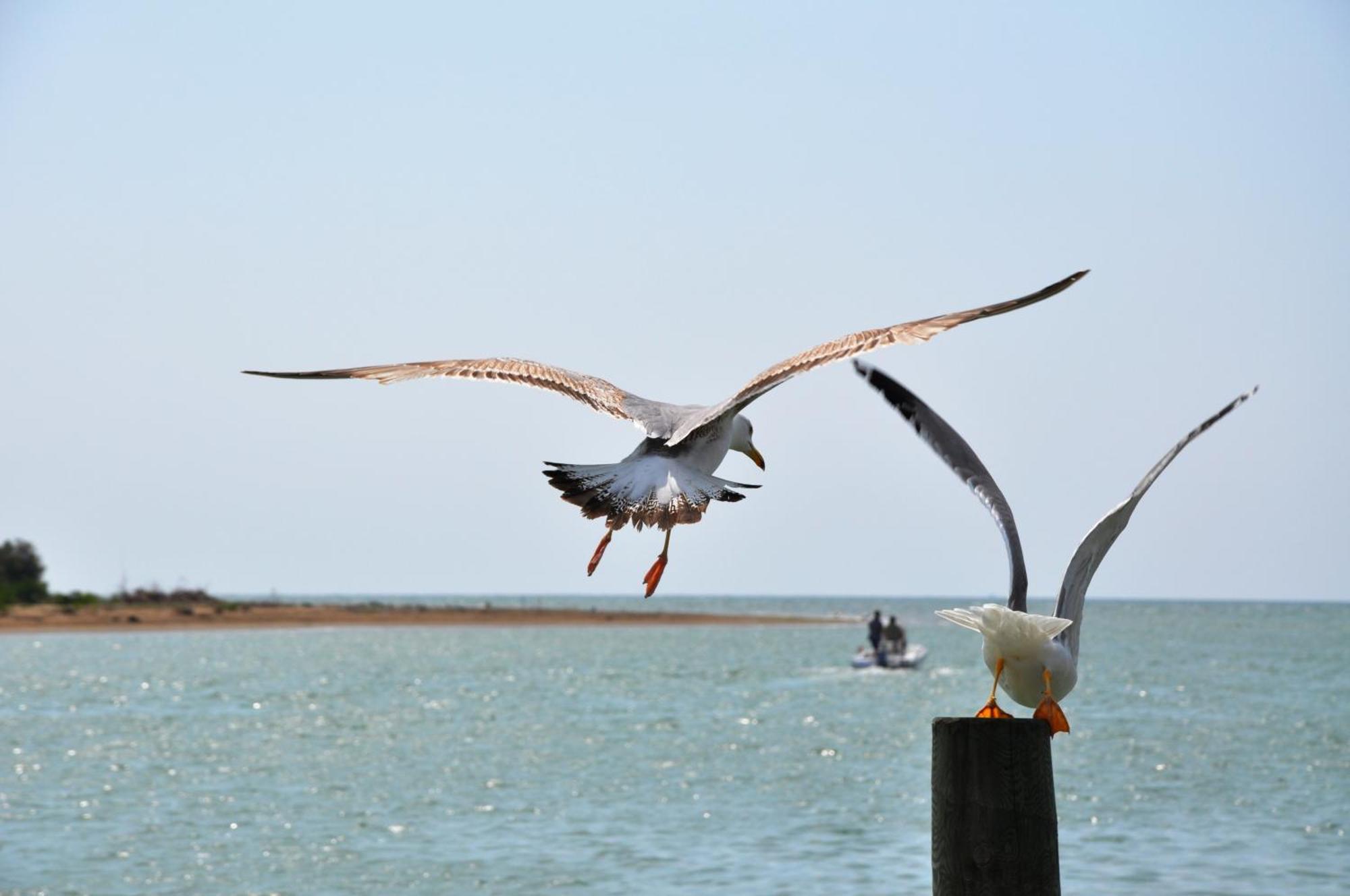 Residence Amarein Caorle Bagian luar foto