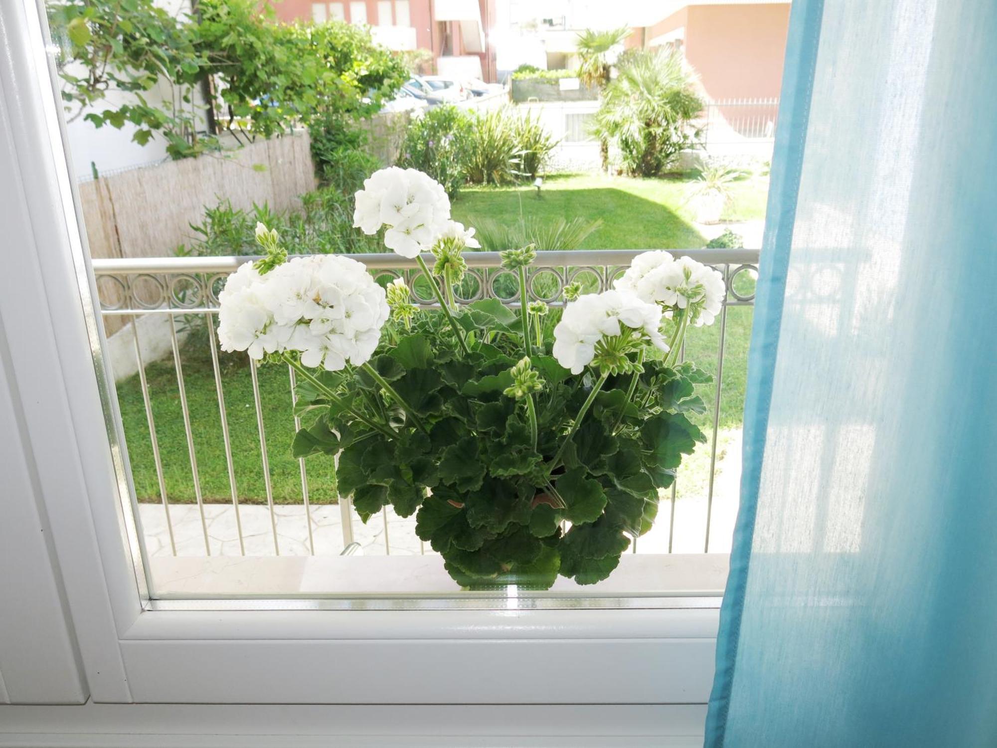 Residence Amarein Caorle Bagian luar foto
