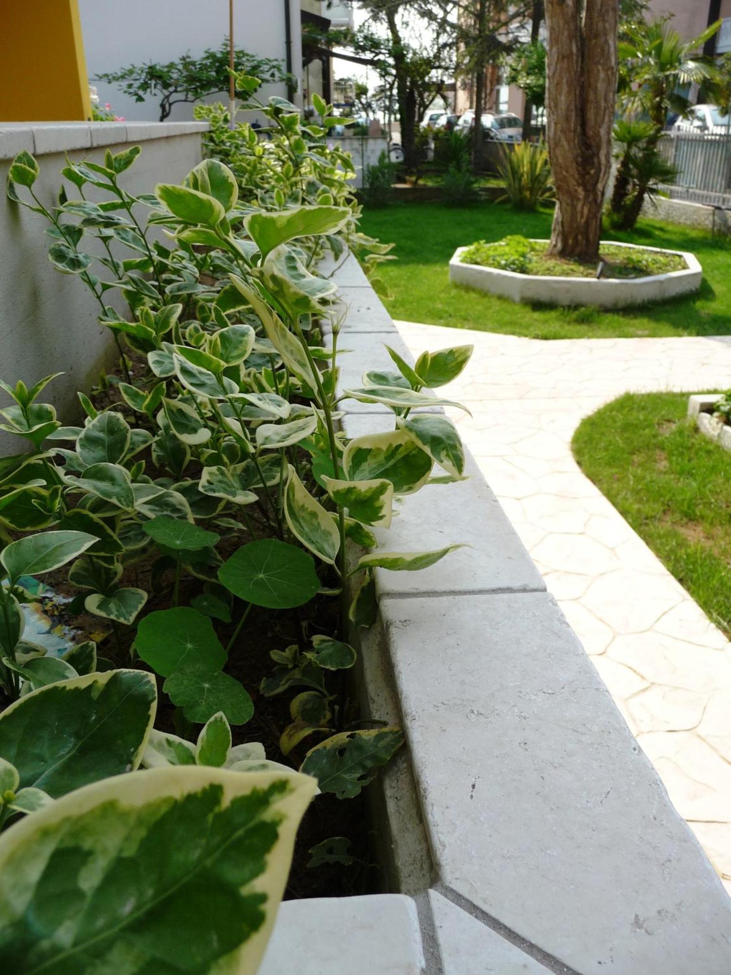 Residence Amarein Caorle Bagian luar foto