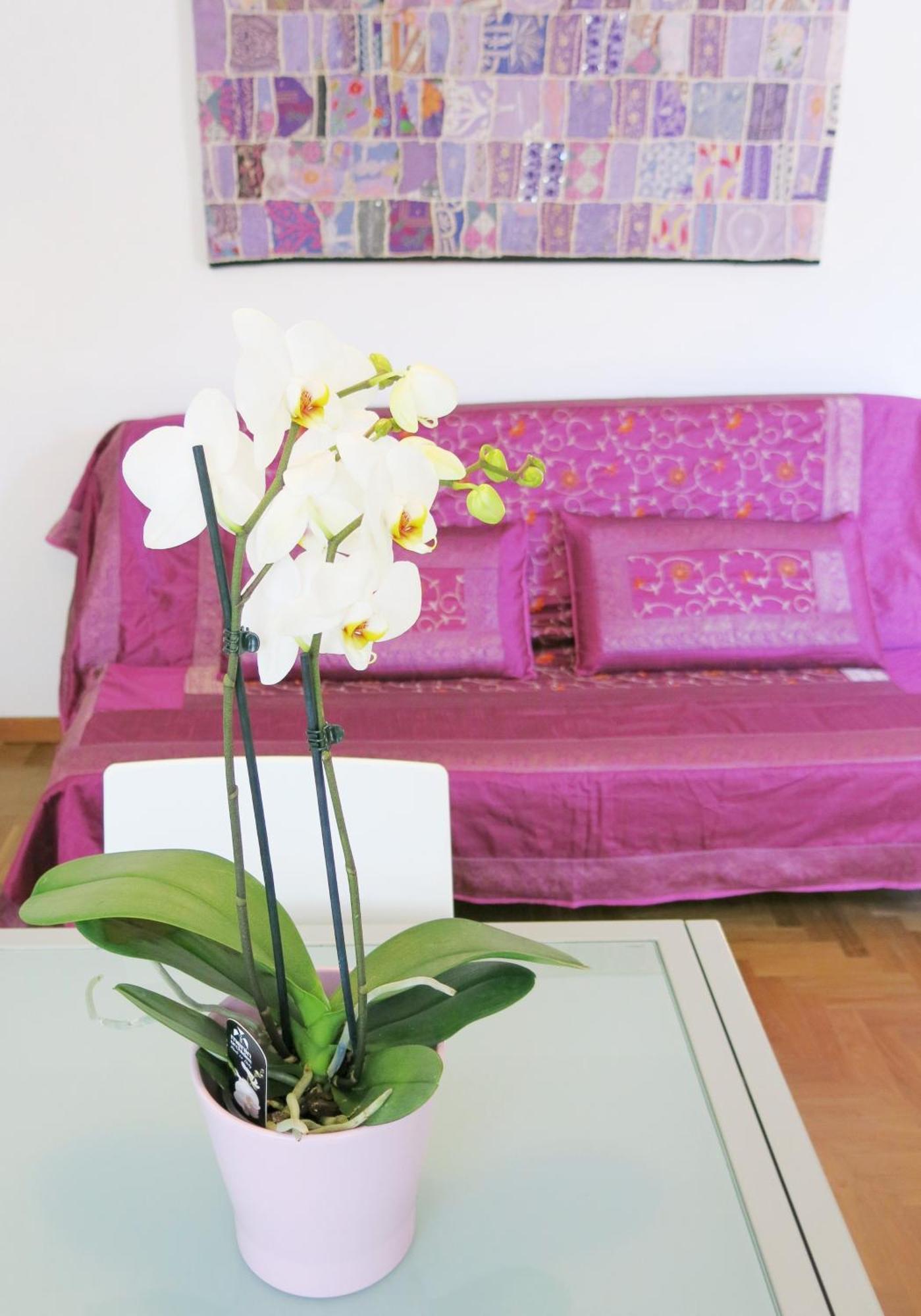 Residence Amarein Caorle Bagian luar foto